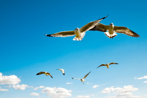 致敬！暗区突围选手用热爱与坚持，温暖了整个电竞圈