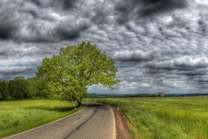 WRC官方辟谣!关于某车队解散传言,真相令人意外 WRC官方辟谣!关于某车队解散传言,真相令人意外